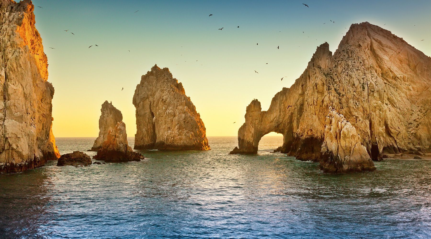 cabo airport transfer